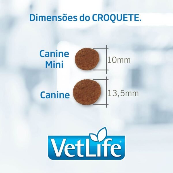 Ração Vet Life Natural Hypoallergenic Porco e Batata para Cães - Image 2